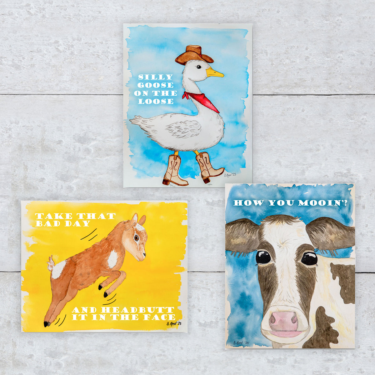 Farm Animal Greeting Card Set – Funny Blank Card 3 Pack (4x5.5 Inch with Envelopes)